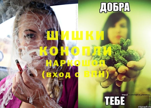 дмт Богородск