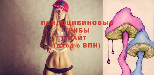 jwh Белокуриха